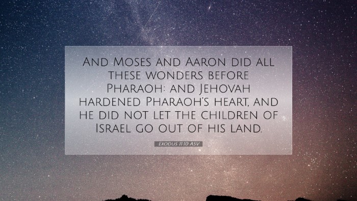 Picture 07 - Exodus 11:10 ASV Desktop Wallpaper - And Moses and Aaron did all these wonders before - Desktop Bible Verse Wallpaper