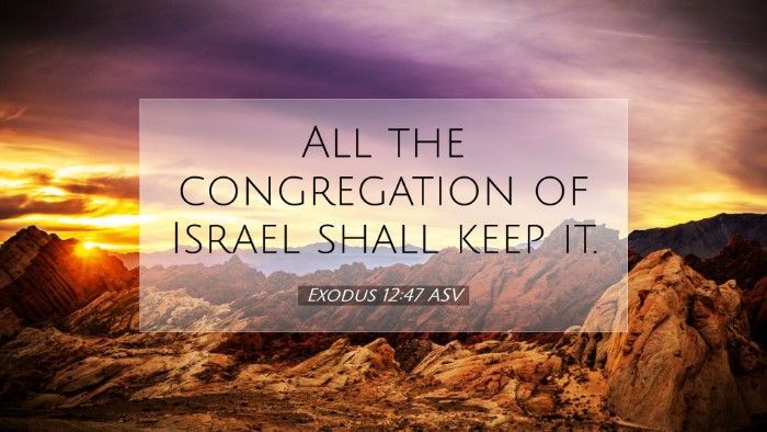 Picture 07 - Exodus 12:47 ASV Desktop Wallpaper - All the congregation of Israel shall keep - Desktop Bible Verse Wallpaper