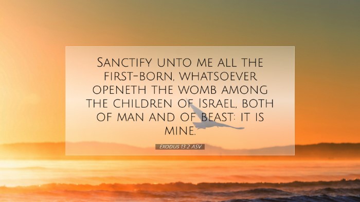 Picture 07 - Exodus 13:2 ASV Desktop Wallpaper - Sanctify unto me all the first-born, whatsoever - Desktop Bible Verse Wallpaper