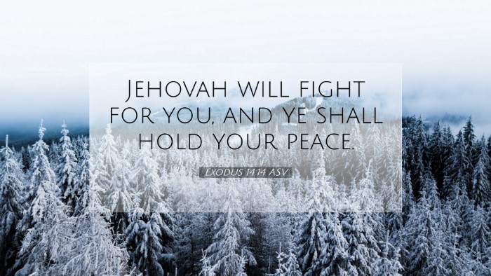 Picture 07 - Exodus 14:14 ASV Desktop Wallpaper - Jehovah will fight for you, and ye shall hold - Desktop Bible Verse Wallpaper