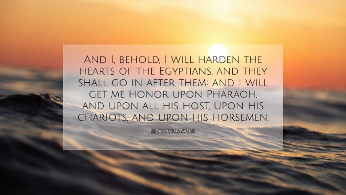 Picture 07 - Exodus 14:17 ASV Desktop Wallpaper - And I, behold, I will harden the hearts of the - Desktop Bible Verse Wallpaper