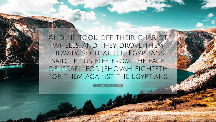 Picture 07 - Exodus 14:25 ASV Desktop Wallpaper - And he took off their chariot wheels, and they - Desktop Bible Verse Wallpaper