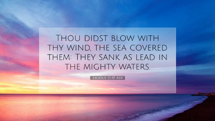 Picture 07 - Exodus 15:10 ASV Desktop Wallpaper - Thou didst blow with thy wind, the sea covered - Desktop Bible Verse Wallpaper