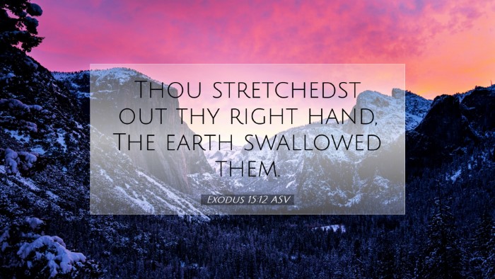 Picture 07 - Exodus 15:12 ASV Desktop Wallpaper - Thou stretchedst out thy right hand, The earth - Desktop Bible Verse Wallpaper
