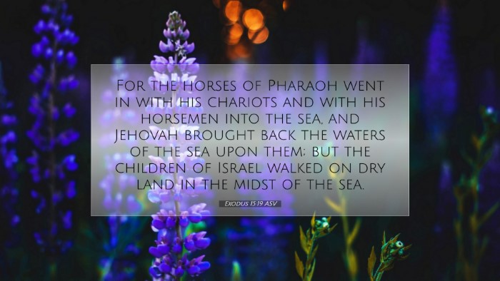 Picture 07 - Exodus 15:19 ASV Desktop Wallpaper - For the horses of Pharaoh went in with his - Desktop Bible Verse Wallpaper