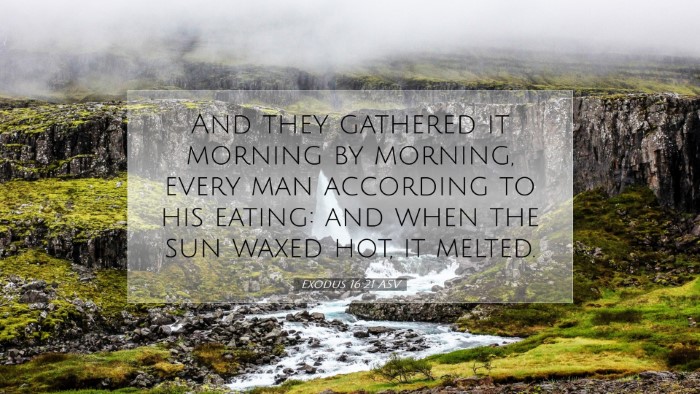 Picture 07 - Exodus 16:21 ASV Desktop Wallpaper - And they gathered it morning by morning, every - Desktop Bible Verse Wallpaper