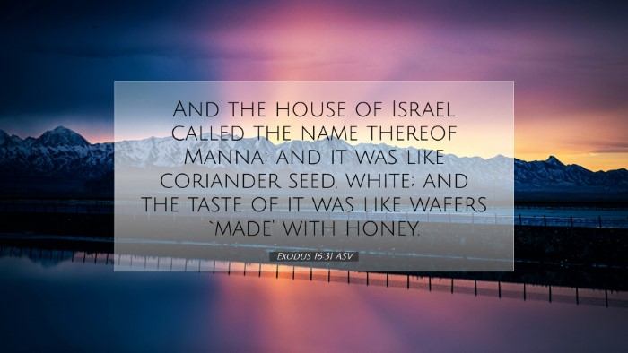 Picture 07 - Exodus 16:31 ASV Desktop Wallpaper - And the house of Israel called the name thereof - Desktop Bible Verse Wallpaper