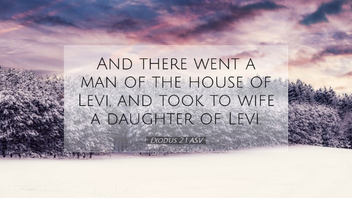 Picture 07 - Exodus 2:1 ASV Desktop Wallpaper - And there went a man of the house of Levi, and - Desktop Bible Verse Wallpaper