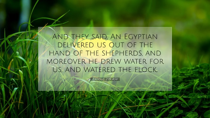 Picture 07 - Exodus 2:19 ASV Desktop Wallpaper - And they said, An Egyptian delivered us out of - Desktop Bible Verse Wallpaper