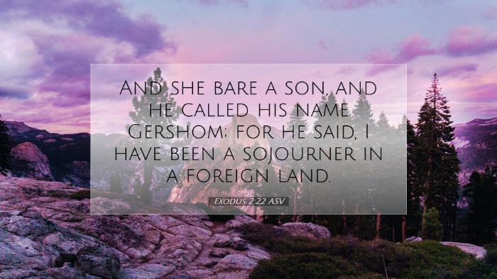Picture 07 - Exodus 2:22 ASV Desktop Wallpaper - And she bare a son, and he called his name - Desktop Bible Verse Wallpaper