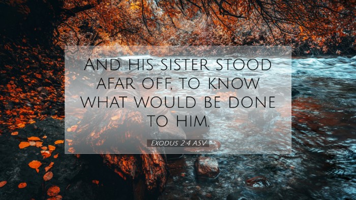 Picture 07 - Exodus 2:4 ASV Desktop Wallpaper - And his sister stood afar off, to know what would - Desktop Bible Verse Wallpaper