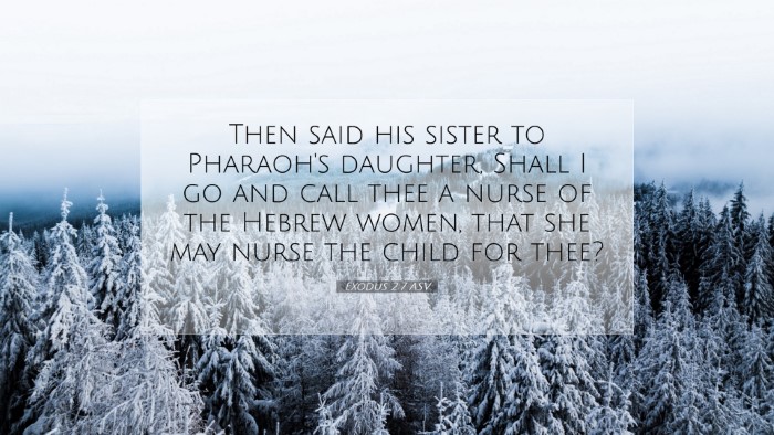 Picture 07 - Exodus 2:7 ASV Desktop Wallpaper - Then said his sister to Pharaoh's daughter, Shall - Desktop Bible Verse Wallpaper