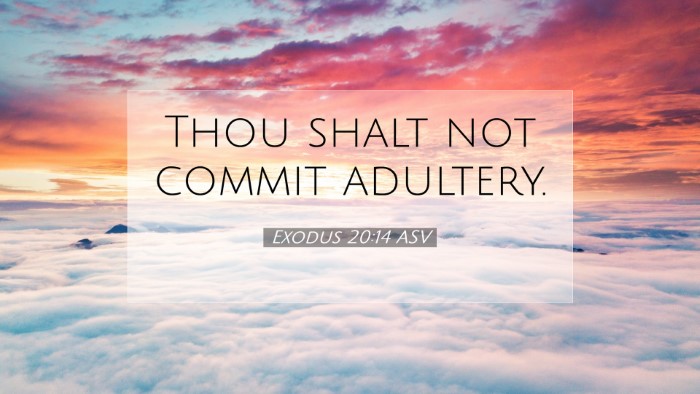 Picture 07 - Exodus 20:14 ASV Desktop Wallpaper - Thou shalt not commit - Desktop Bible Verse Wallpaper
