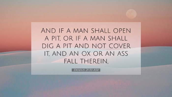 Picture 07 - Exodus 21:33 ASV Desktop Wallpaper - And if a man shall open a pit, or if a man shall - Desktop Bible Verse Wallpaper