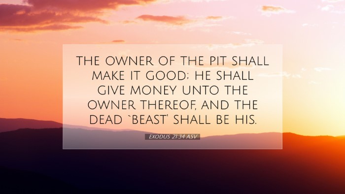 Picture 07 - Exodus 21:34 ASV Desktop Wallpaper - the owner of the pit shall make it good; he shall - Desktop Bible Verse Wallpaper