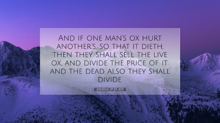 Picture 07 - Exodus 21:35 ASV Desktop Wallpaper - And if one man's ox hurt another's, so that it - Desktop Bible Verse Wallpaper
