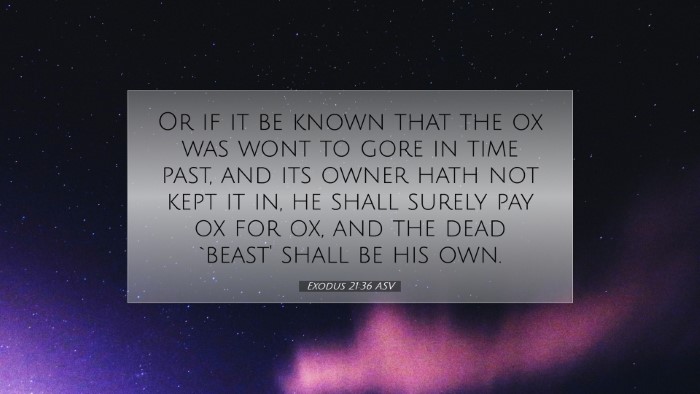 Picture 07 - Exodus 21:36 ASV Desktop Wallpaper - Or if it be known that the ox was wont to gore in - Desktop Bible Verse Wallpaper