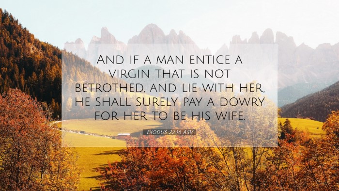 Picture 07 - Exodus 22:16 ASV Desktop Wallpaper - And if a man entice a virgin that is not - Desktop Bible Verse Wallpaper