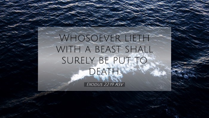 Picture 07 - Exodus 22:19 ASV Desktop Wallpaper - Whosoever lieth with a beast shall surely be put - Desktop Bible Verse Wallpaper