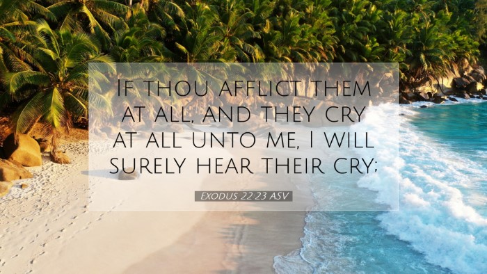 Picture 07 - Exodus 22:23 ASV Desktop Wallpaper - If thou afflict them at all, and they cry at all - Desktop Bible Verse Wallpaper