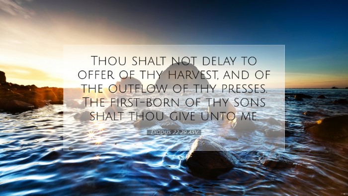 Picture 07 - Exodus 22:29 ASV Desktop Wallpaper - Thou shalt not delay to offer of thy harvest, and - Desktop Bible Verse Wallpaper