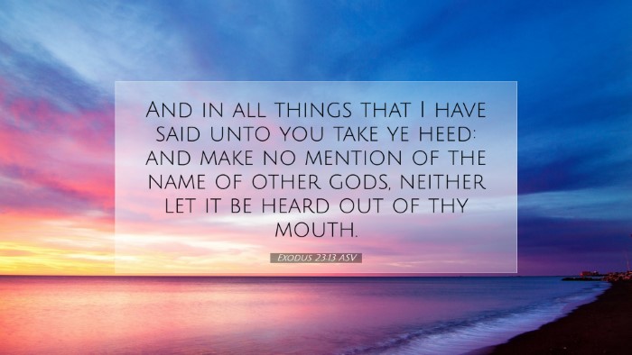 Picture 07 - Exodus 23:13 ASV Desktop Wallpaper - And in all things that I have said unto you take - Desktop Bible Verse Wallpaper