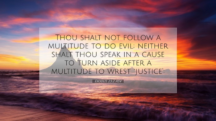 Picture 07 - Exodus 23:2 ASV Desktop Wallpaper - Thou shalt not follow a multitude to do evil; - Desktop Bible Verse Wallpaper