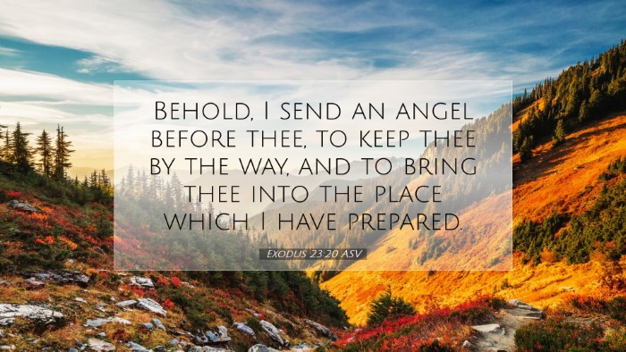 Picture 07 - Exodus 23:20 ASV Desktop Wallpaper - Behold, I send an angel before thee, to keep thee - Desktop Bible Verse Wallpaper