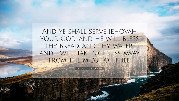 Picture 07 - Exodus 23:25 ASV Desktop Wallpaper - And ye shall serve Jehovah your God, and he will - Desktop Bible Verse Wallpaper