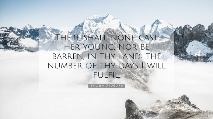 Picture 07 - Exodus 23:26 ASV Desktop Wallpaper - There shall none cast her young, nor be barren, - Desktop Bible Verse Wallpaper