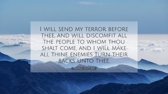 Picture 07 - Exodus 23:27 ASV Desktop Wallpaper - I will send my terror before thee, and will - Desktop Bible Verse Wallpaper