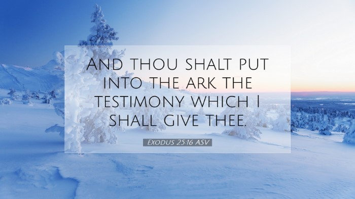 Picture 07 - Exodus 25:16 ASV Desktop Wallpaper - And thou shalt put into the ark the testimony - Desktop Bible Verse Wallpaper