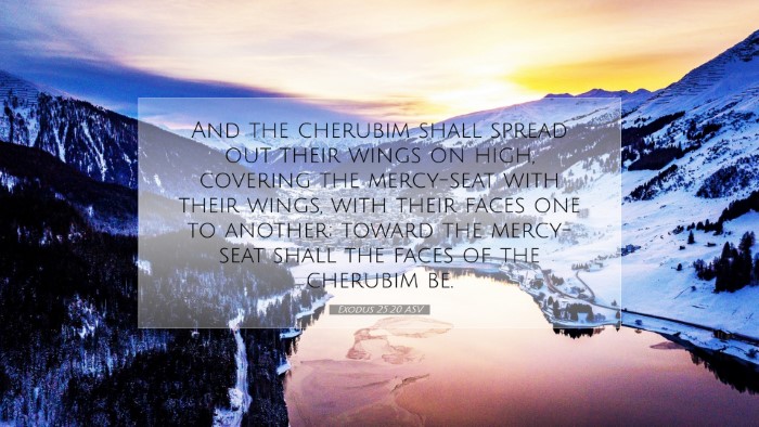 Picture 07 - Exodus 25:20 ASV Desktop Wallpaper - And the cherubim shall spread out their wings on - Desktop Bible Verse Wallpaper