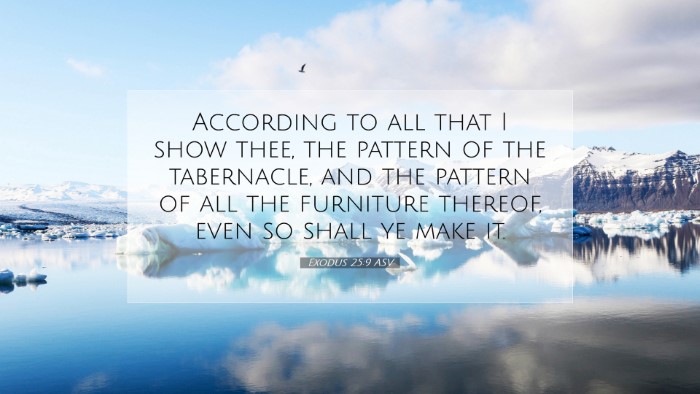Picture 07 - Exodus 25:9 ASV Desktop Wallpaper - According to all that I show thee, the pattern of - Desktop Bible Verse Wallpaper