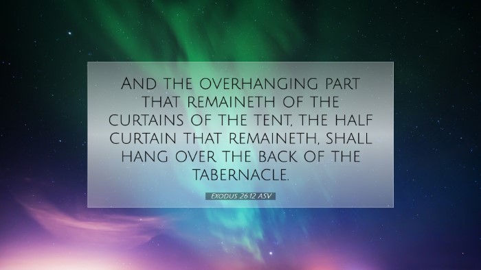 Picture 07 - Exodus 26:12 ASV Desktop Wallpaper - And the overhanging part that remaineth of the - Desktop Bible Verse Wallpaper