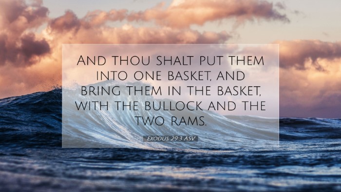 Picture 07 - Exodus 29:3 ASV Desktop Wallpaper - And thou shalt put them into one basket, and - Desktop Bible Verse Wallpaper