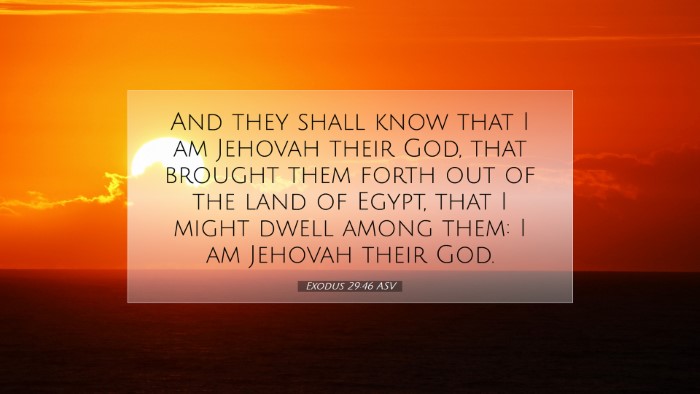 Picture 07 - Exodus 29:46 ASV Desktop Wallpaper - And they shall know that I am Jehovah their God, - Desktop Bible Verse Wallpaper