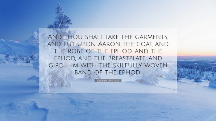 Picture 07 - Exodus 29:5 ASV Desktop Wallpaper - And thou shalt take the garments, and put upon - Desktop Bible Verse Wallpaper