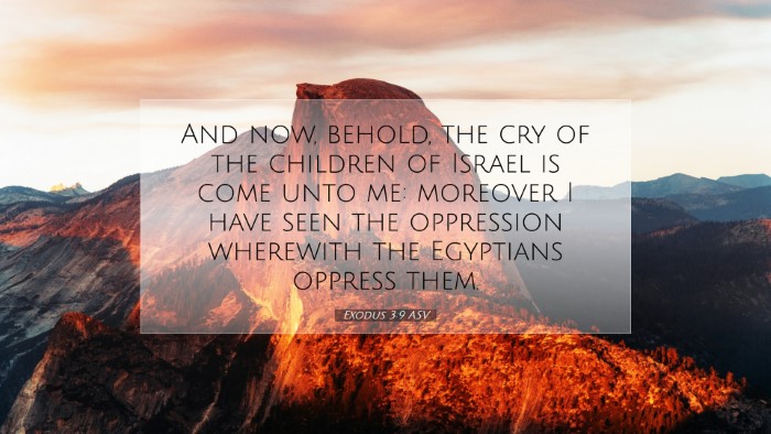 Picture 07 - Exodus 3:9 ASV Desktop Wallpaper - And now, behold, the cry of the children of - Desktop Bible Verse Wallpaper