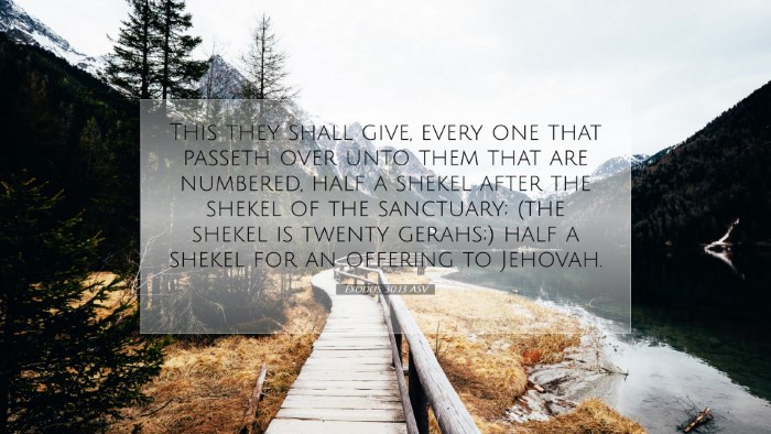 Picture 07 - Exodus 30:13 ASV Desktop Wallpaper - This they shall give, every one that passeth over - Desktop Bible Verse Wallpaper