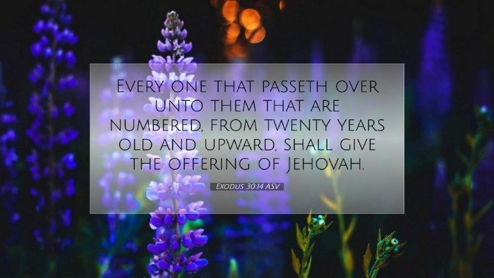 Picture 07 - Exodus 30:14 ASV Desktop Wallpaper - Every one that passeth over unto them that are - Desktop Bible Verse Wallpaper
