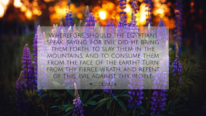 Picture 07 - Exodus 32:12 ASV Desktop Wallpaper - Wherefore should the Egyptians speak, saying, For - Desktop Bible Verse Wallpaper