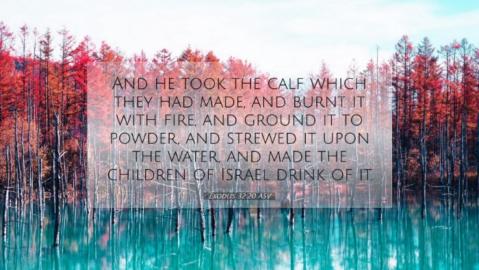 Picture 07 - Exodus 32:20 ASV Desktop Wallpaper - And he took the calf which they had made, and - Desktop Bible Verse Wallpaper