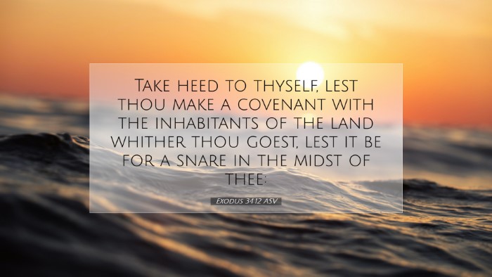 Picture 07 - Exodus 34:12 ASV Desktop Wallpaper - Take heed to thyself, lest thou make a covenant - Desktop Bible Verse Wallpaper