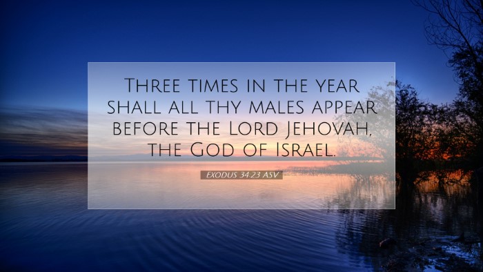 Picture 07 - Exodus 34:23 ASV Desktop Wallpaper - Three times in the year shall all thy males - Desktop Bible Verse Wallpaper