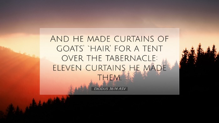 Picture 07 - Exodus 36:14 ASV Desktop Wallpaper - And he made curtains of goats' `hair' for a tent - Desktop Bible Verse Wallpaper