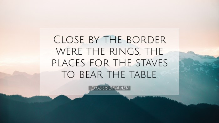 Picture 07 - Exodus 37:14 ASV Desktop Wallpaper - Close by the border were the rings, the places - Desktop Bible Verse Wallpaper