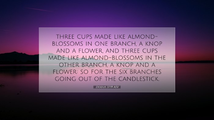 Picture 07 - Exodus 37:19 ASV Desktop Wallpaper - three cups made like almond-blossoms in one - Desktop Bible Verse Wallpaper
