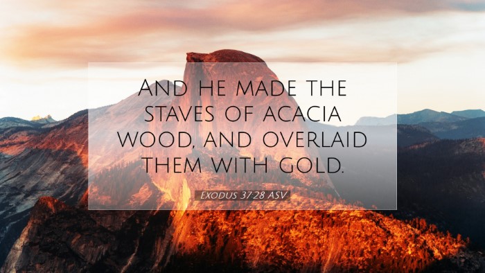 Picture 07 - Exodus 37:28 ASV Desktop Wallpaper - And he made the staves of acacia wood, and - Desktop Bible Verse Wallpaper