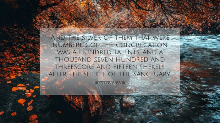 Picture 07 - Exodus 38:25 ASV Desktop Wallpaper - And the silver of them that were numbered of the - Desktop Bible Verse Wallpaper